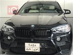 بی ئێم دەبڵیو X6